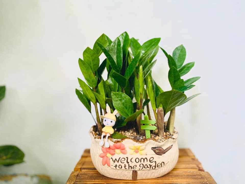 Sử dụng kiêm tiền trang trí không gian làm việc
